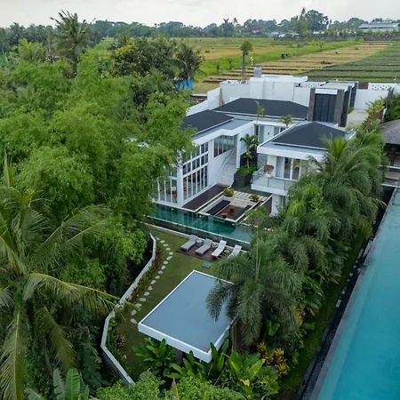Nove Villas